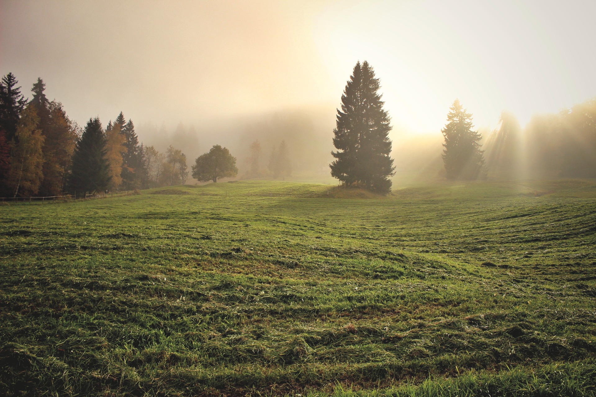 Your History and the Roots of Your Addiction