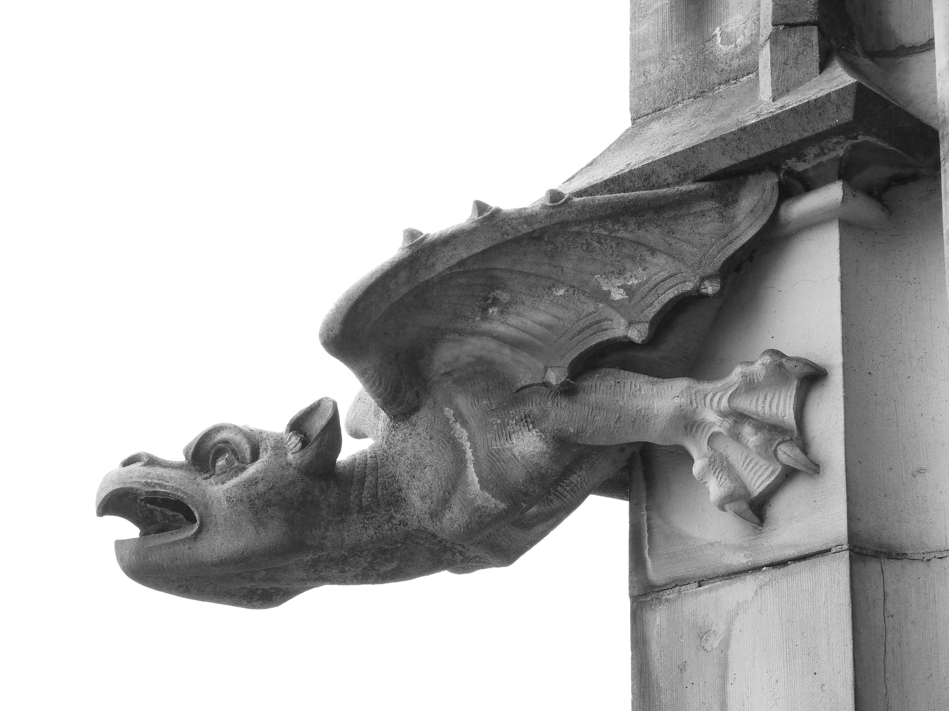 gargoyle spirit medicine