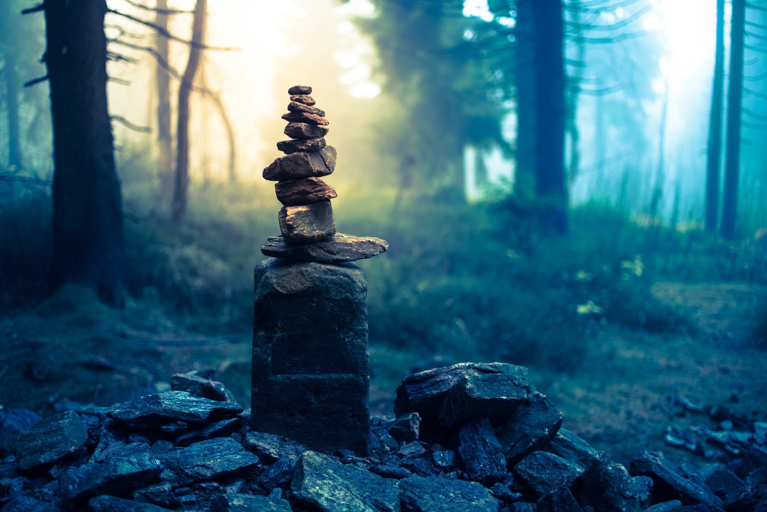 How to navigate manipulation