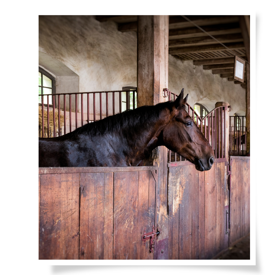 Cornerstone Horse Retreats