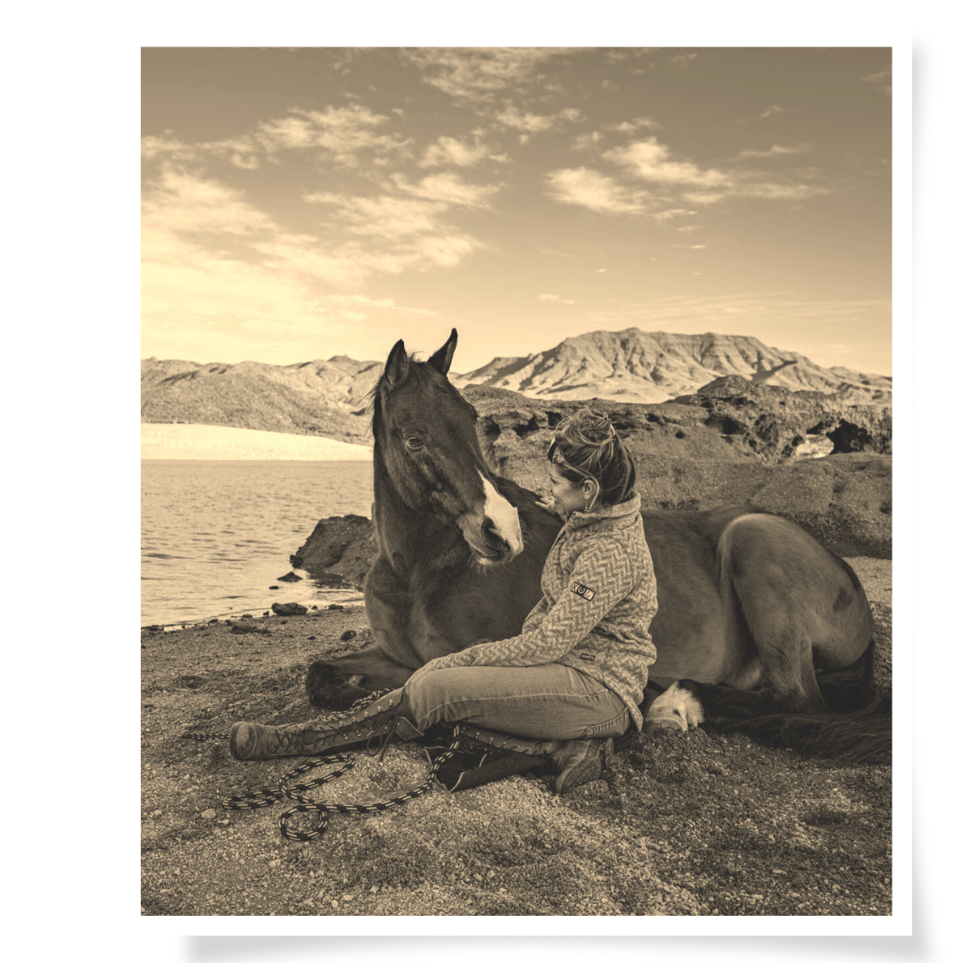 Cornerstone Horse Retreats (2)