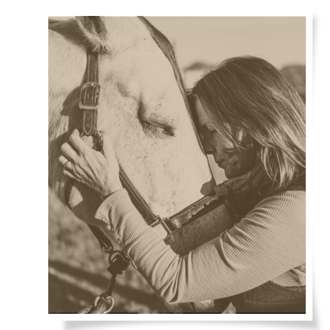 Cornerstone Horse Retreats