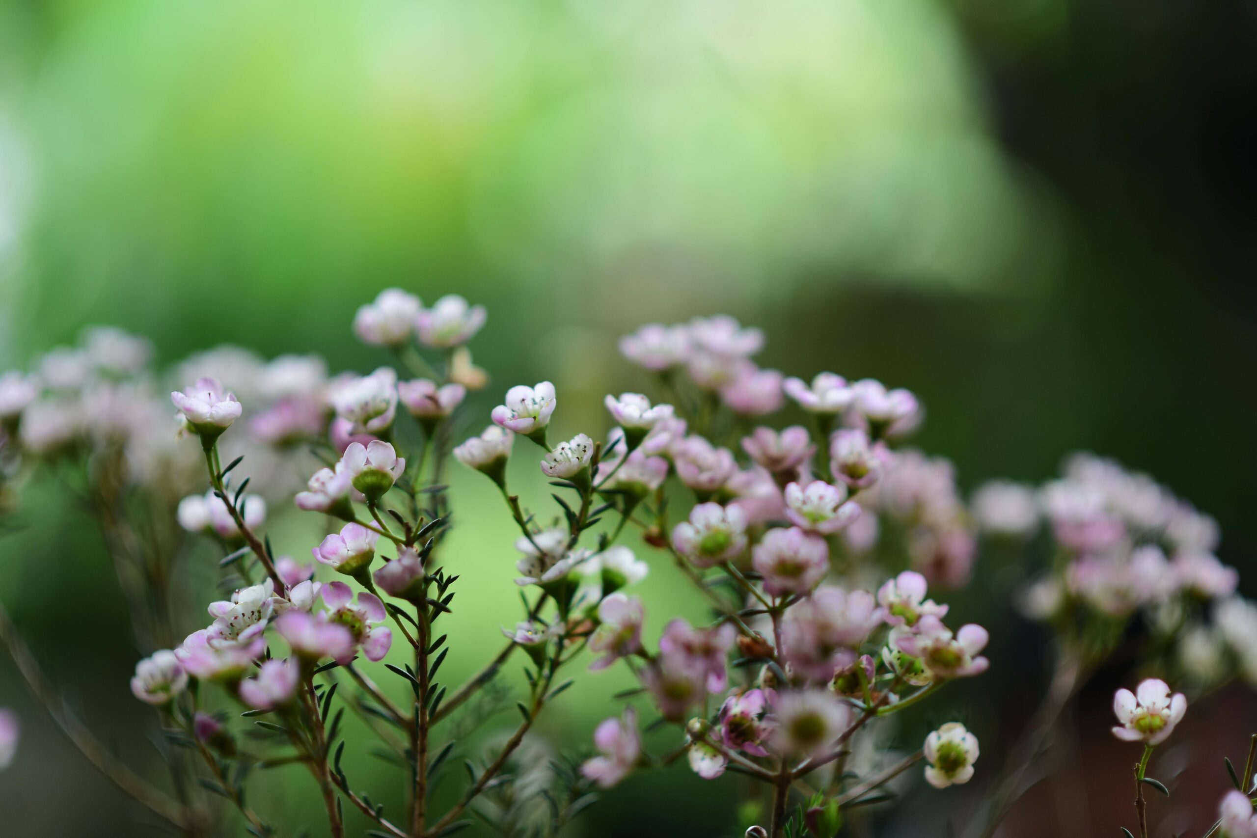 pexels-soc-nang-d-ng-2150345854-35138958