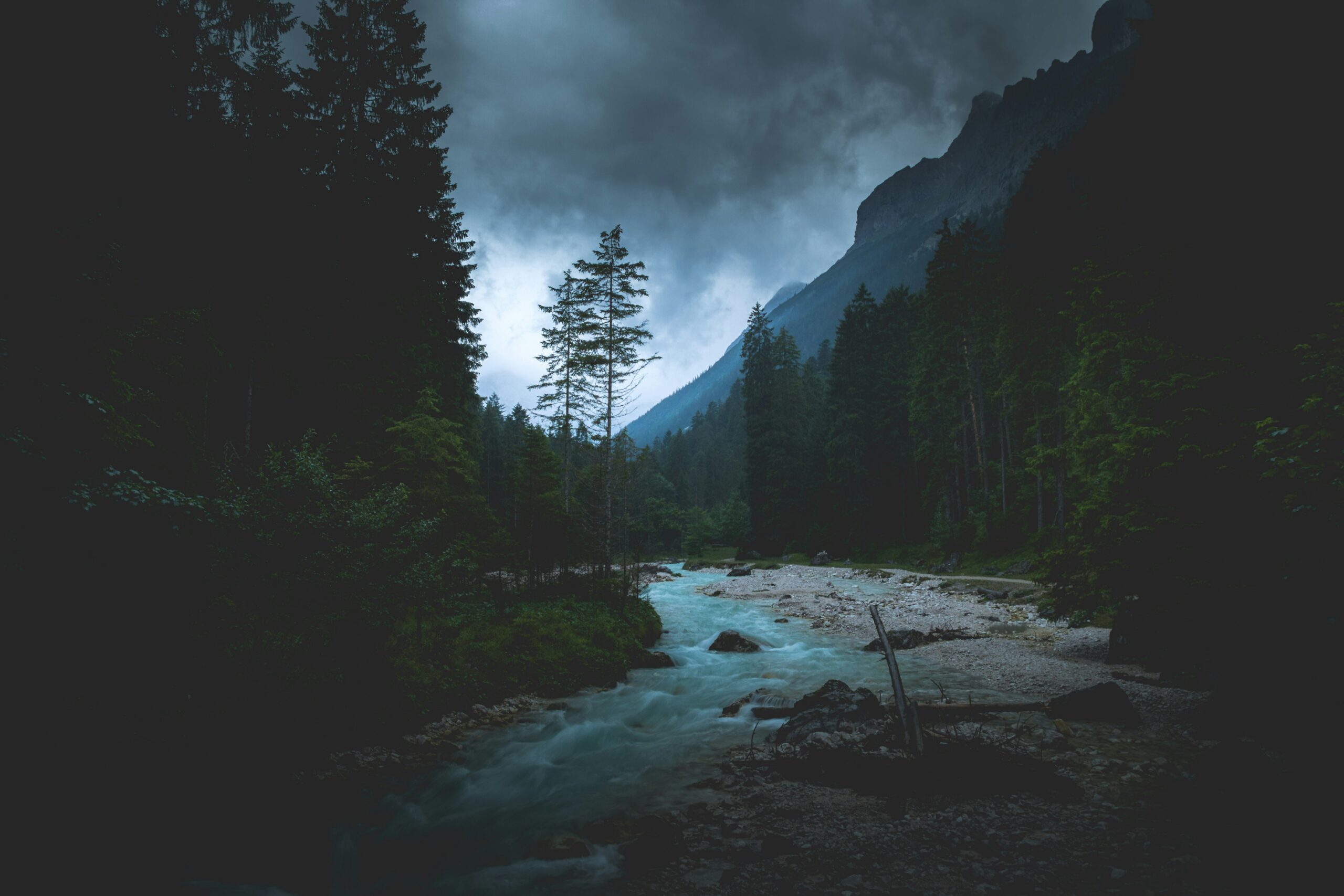 karsten-wurth-7BjhtdogU3A-unsplash