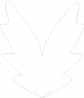 cropped-beth_wings_logo_01.png